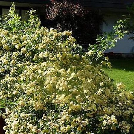 Haus Christl Bed & Breakfast Lana Exterior foto
