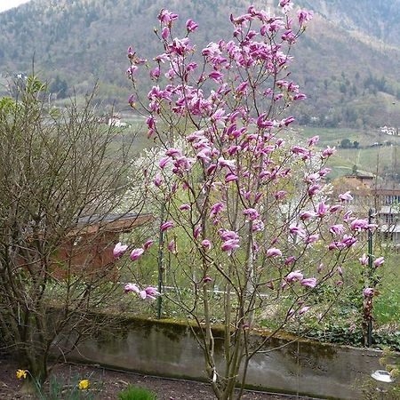 Haus Christl Bed & Breakfast Lana Exterior foto