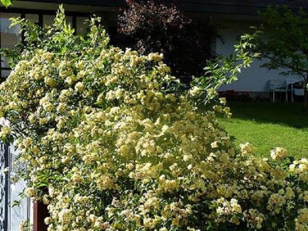 Haus Christl Bed & Breakfast Lana Exterior foto
